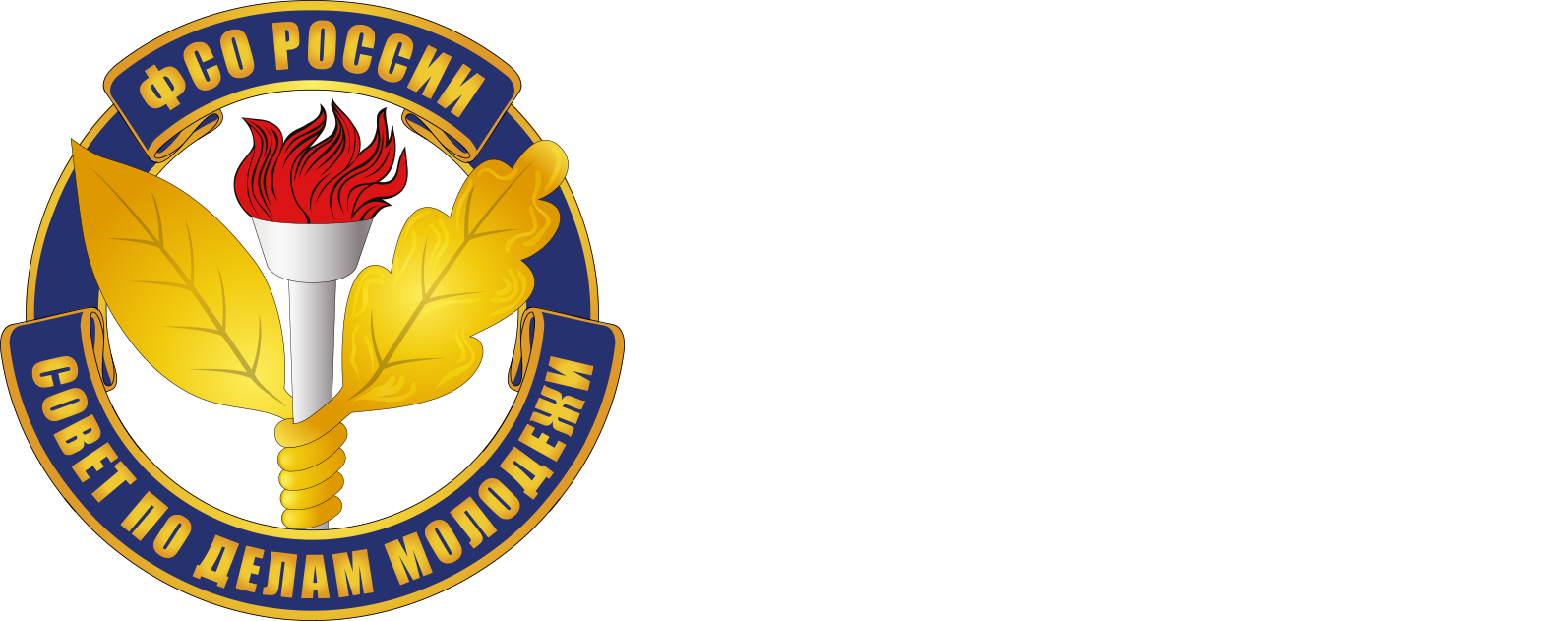 Совет по делам молодежи